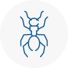 Ant Removals In Radcliffe
