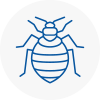 Bed Bug Extermination In Radcliffe