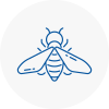 Bee Nest Removal Radcliffe