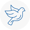 Bird Prevention Radcliffe