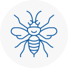 Radcliffe Hornet Nest Removals