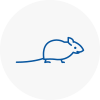 Mice Exterminators In Radcliffe