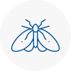 Moth Control Specialists In Radcliffe