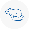 Rat Control Radcliffe