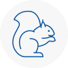Radcliffe Rodent Removals