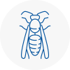 Radcliffe Wasp Nest Removal